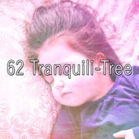 62 Tranquili Tree