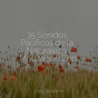 Sonidos de la Naturaleza | Relájate | Bebé Duerme