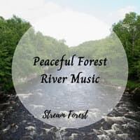 Stream Forest: Peaceful Forest River - 3 Hours