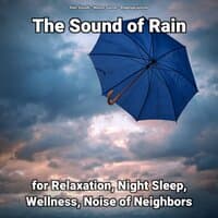 The Sound of Rain for Relaxation, Night Sleep, Wellness, Noise of Neighbors