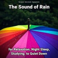 The Sound of Rain for Relaxation, Night Sleep, Studying, to Quiet Down