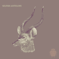 Selfish Antelope