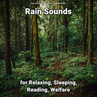 Rain Sounds for Relaxing, Sleeping, Reading, Welfare