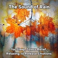 The Sound of Rain for Sleep, Stress Relief, Relaxing, to Release Emotions