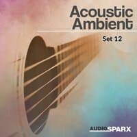 Acoustic Ambient, Set 12