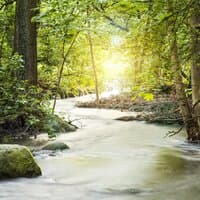 Small Water Streams