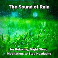 The Sound of Rain for Relaxing, Night Sleep, Meditation, to Stop Headache