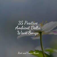 35 Positive Ambient Delta Wave Songs