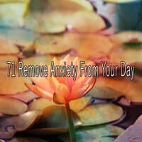 71 Remove Anxiety From Your Day