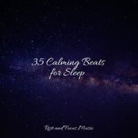 35 Calming Beats for Sleep