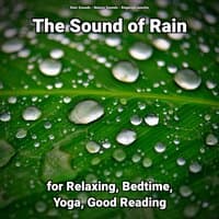 The Sound of Rain for Relaxing, Bedtime, Yoga, Good Reading