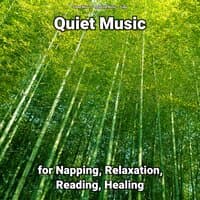 Quiet Music for Napping, Relaxation, Reading, Healing