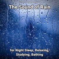 The Sound of Rain for Night Sleep, Relaxing, Studying, Bathing