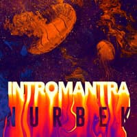 INTROMANTRA