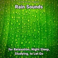 Rain Sounds for Relaxation, Night Sleep, Studying, to Let Go