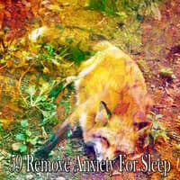 59 Remove Anxiety For Sleep