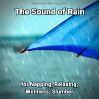 The Sound of Rain for Napping, Relaxing, Wellness, Slumber