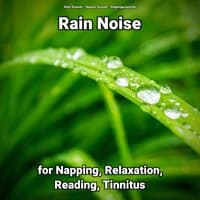 Rain Noise for Napping, Relaxation, Reading, Tinnitus