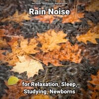 Rain Noise for Relaxation, Sleep, Studying, Newborns