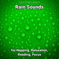 Rain Sounds for Napping, Relaxation, Reading, Focus