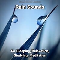 Rain Sounds for Sleeping, Relaxation, Studying, Meditation