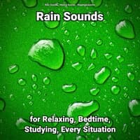 Rain Sounds for Relaxing, Bedtime, Studying, Every Situation