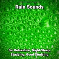 Rain Sounds for Relaxation, Night Sleep, Studying, Good Studying