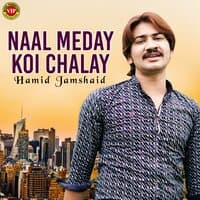 Naal Meday Koi Chalay - Single