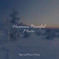 Harmonic Peaceful Music