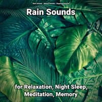 Rain Sounds for Relaxation, Night Sleep, Meditation, Memory