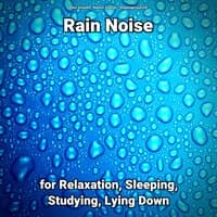 Rain Noise for Relaxation, Sleeping, Studying, Lying Down