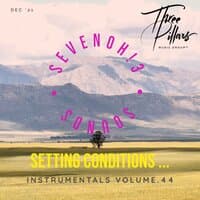 Setting Conditions ... Instrumentals, Vol. 44