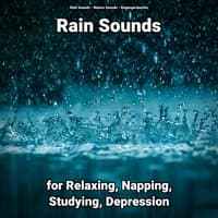 Rain Sounds for Relaxing, Napping, Studying, Depression