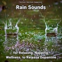 Rain Sounds for Relaxing, Napping, Wellness, to Release Dopamine