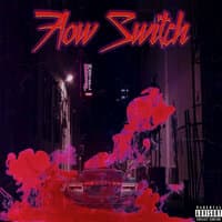 Flow Switch