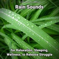 Rain Sounds for Relaxation, Sleeping, Wellness, to Release Struggle