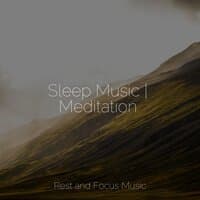 Sleep Music | Meditation