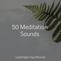 50 Meditation Sounds