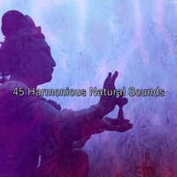 45 Harmonious Natural Sounds