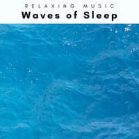 2022 Waves of Sleep