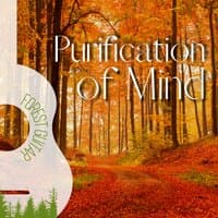 Purification of Mind - Guitar Music and Birds Sounds