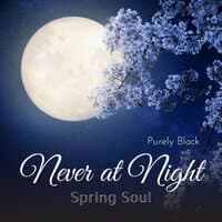 Never at Night - Spring Soul