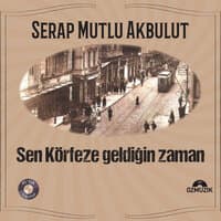 Sen Körfeze Geldiğin Zaman