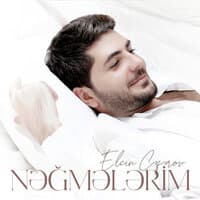 Nəğmələrim