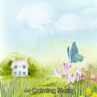 44 Calming Music