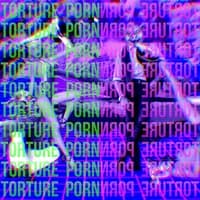 Torture Porn