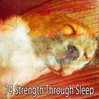 74 Strength Through Sleep