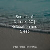 Sounds of Nature | 40 | Relaxation and Sleep