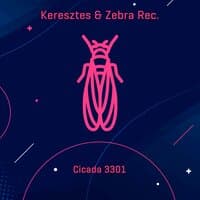 Cicada 3301