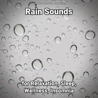 Rain Sounds for Relaxation, Sleep, Wellness, Insomnia